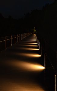 Preview wallpaper bridge, light, trees, dark, night