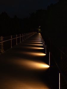 Preview wallpaper bridge, light, trees, dark, night
