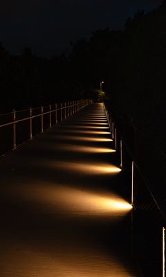 240x400 Wallpaper bridge, light, trees, dark, night