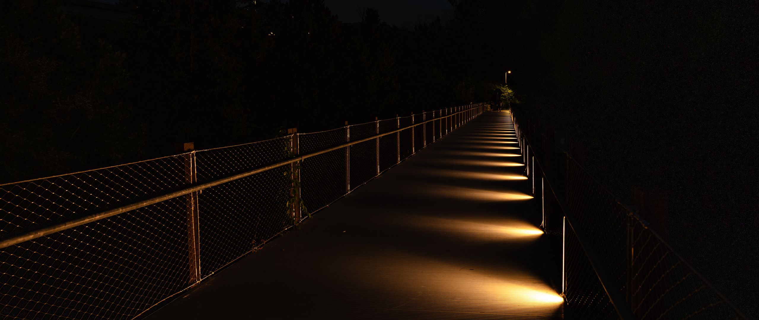 2560x1080 Wallpaper bridge, light, trees, dark, night