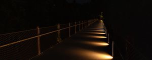 Preview wallpaper bridge, light, trees, dark, night