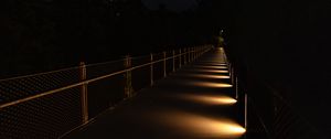 Preview wallpaper bridge, light, trees, dark, night
