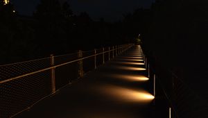 Preview wallpaper bridge, light, trees, dark, night