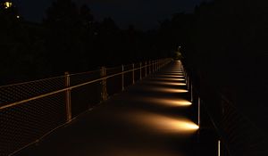Preview wallpaper bridge, light, trees, dark, night