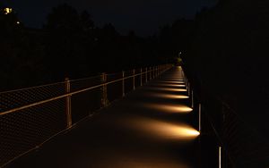 Preview wallpaper bridge, light, trees, dark, night