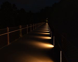 Preview wallpaper bridge, light, trees, dark, night