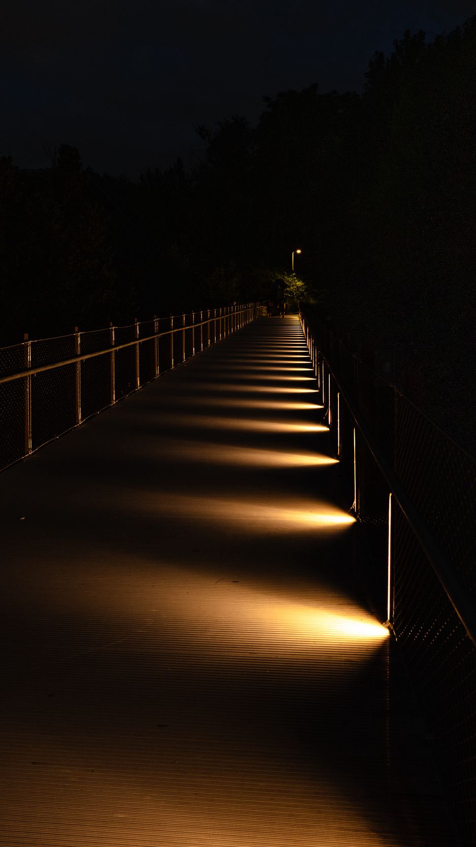 938x1668 Wallpaper bridge, light, trees, dark, night
