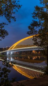 Preview wallpaper bridge, lights, branches, river, architecture