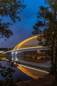Preview wallpaper bridge, lights, branches, river, architecture