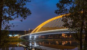 Preview wallpaper bridge, lights, branches, river, architecture