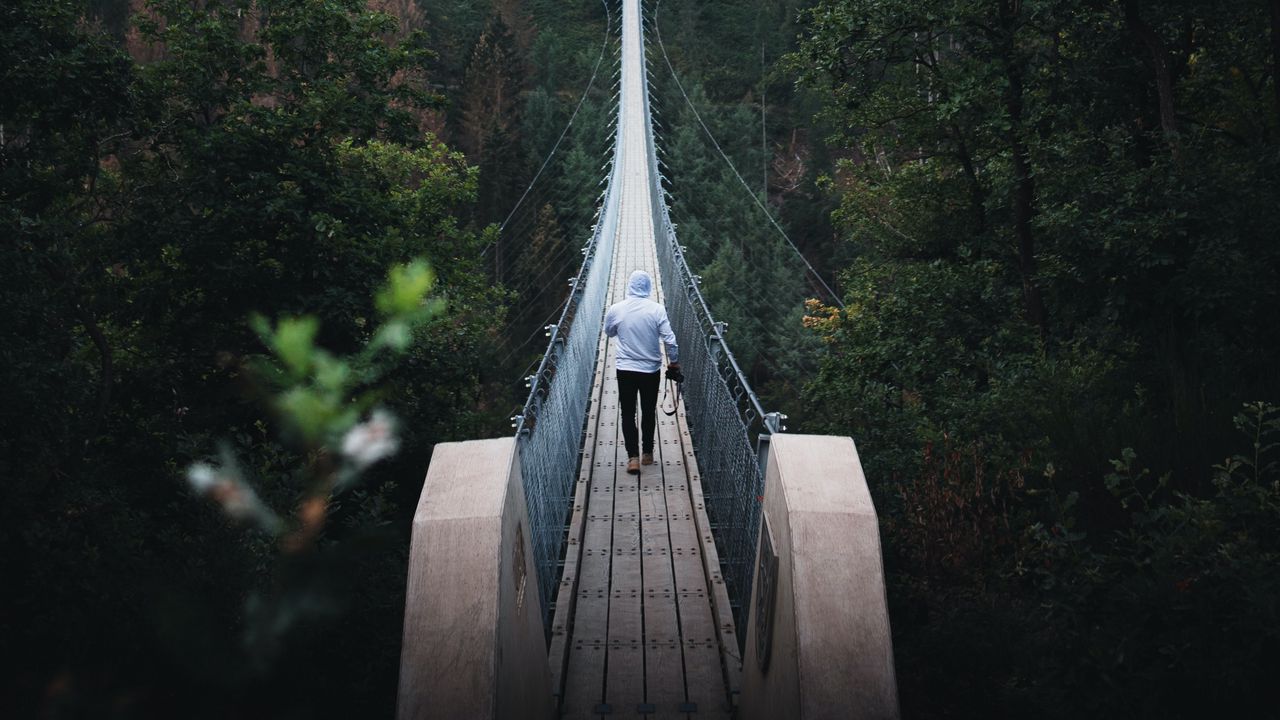 Wallpaper bridge, man, alone, nature, view