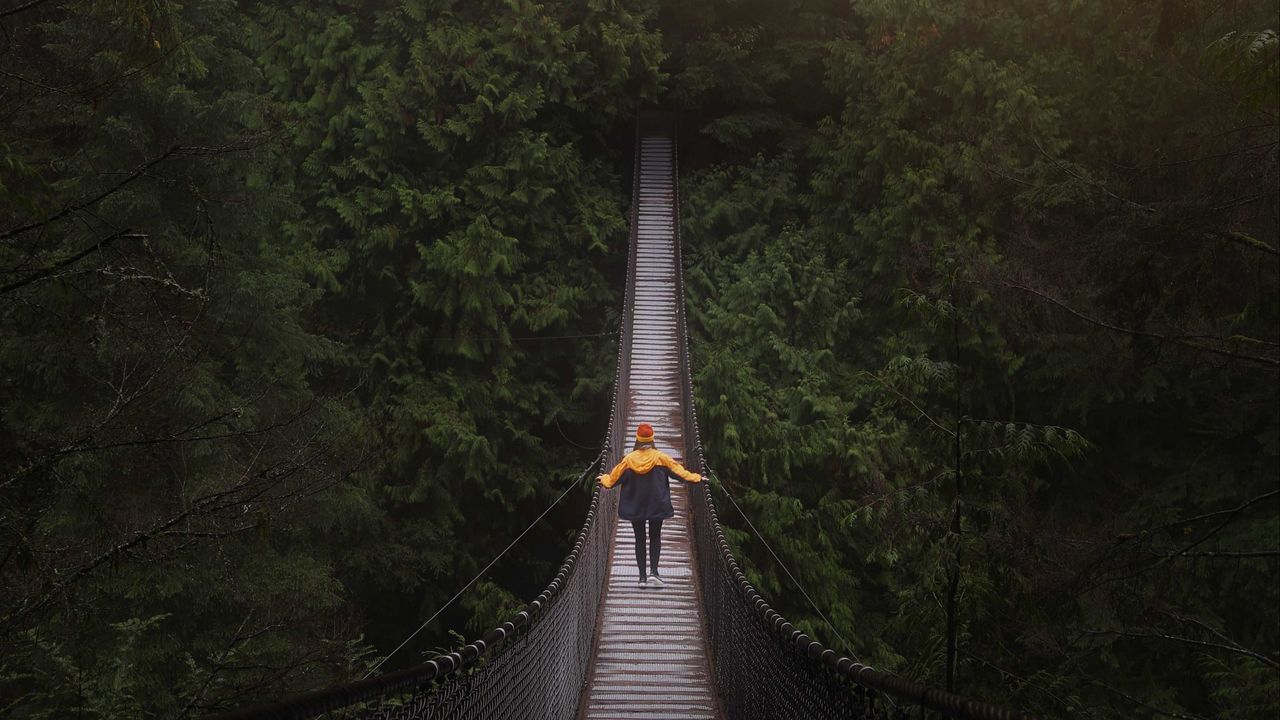 Wallpaper bridge, man, hanging, trees, forest, vancouver, canada
