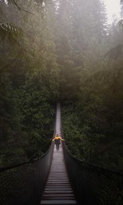 Preview wallpaper bridge, man, hanging, trees, forest, vancouver, canada