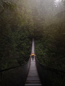 Preview wallpaper bridge, man, hanging, trees, forest, vancouver, canada