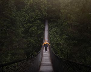 Preview wallpaper bridge, man, hanging, trees, forest, vancouver, canada