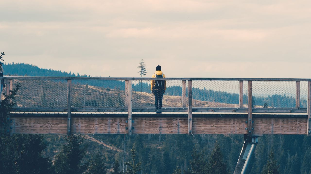 Wallpaper bridge, man, loneliness, nature