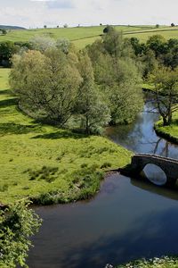 Preview wallpaper bridge, meadows, glade, height, trees, stone, arches