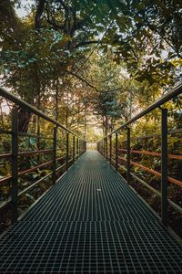 Preview wallpaper bridge, metal, trees, bushes, plants