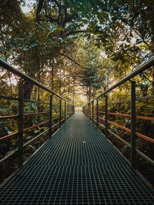 Preview wallpaper bridge, metal, trees, bushes, plants