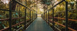 Preview wallpaper bridge, metal, trees, bushes, plants