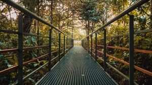 Preview wallpaper bridge, metal, trees, bushes, plants