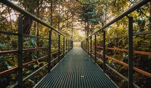 Preview wallpaper bridge, metal, trees, bushes, plants