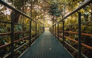 Preview wallpaper bridge, metal, trees, bushes, plants