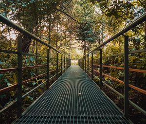 Preview wallpaper bridge, metal, trees, bushes, plants