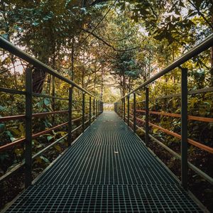 Preview wallpaper bridge, metal, trees, bushes, plants