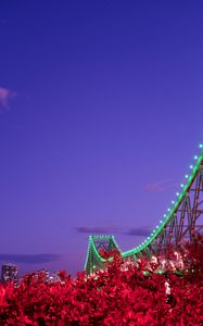 Preview wallpaper bridge, night, backlight, bushes, city