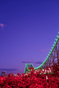 Preview wallpaper bridge, night, backlight, bushes, city