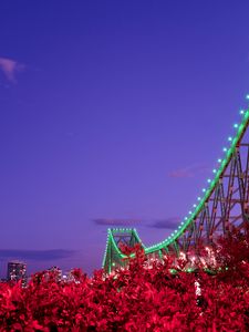 Preview wallpaper bridge, night, backlight, bushes, city