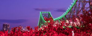 Preview wallpaper bridge, night, backlight, bushes, city