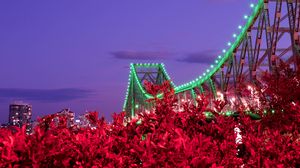 Preview wallpaper bridge, night, backlight, bushes, city
