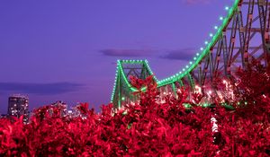 Preview wallpaper bridge, night, backlight, bushes, city