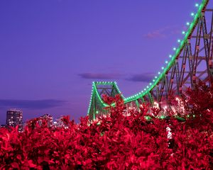 Preview wallpaper bridge, night, backlight, bushes, city