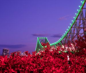 Preview wallpaper bridge, night, backlight, bushes, city