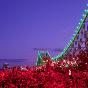 Preview wallpaper bridge, night, backlight, bushes, city