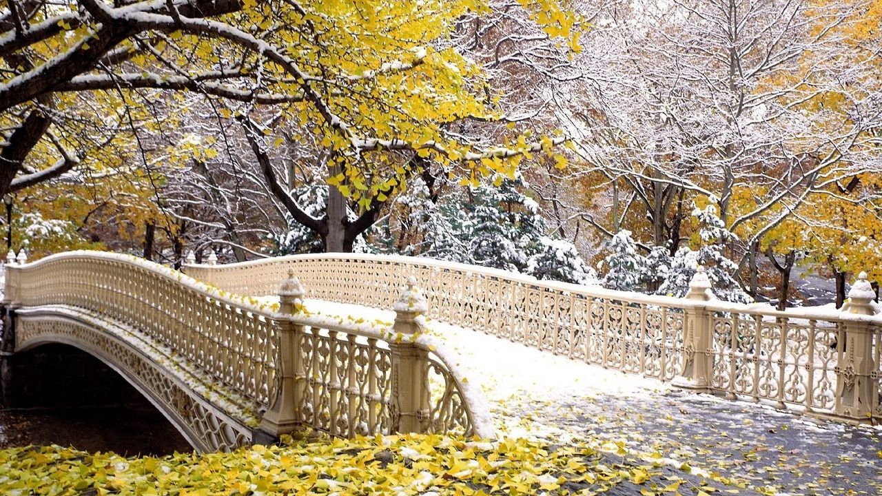 Wallpaper bridge, park, autumn, leaves, snow