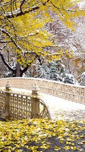 Preview wallpaper bridge, park, autumn, leaves, snow