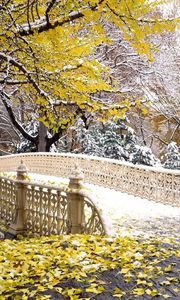 Preview wallpaper bridge, park, autumn, leaves, snow