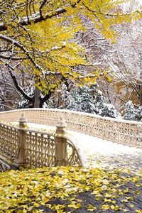 Preview wallpaper bridge, park, autumn, leaves, snow