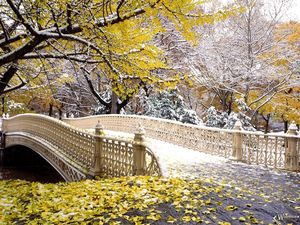 Preview wallpaper bridge, park, autumn, leaves, snow