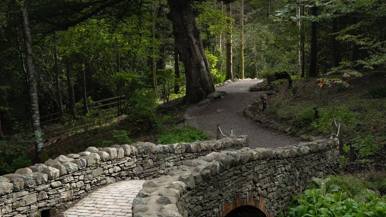 Wallpaper bridge, path, alley, trees