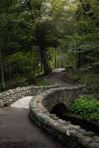 Preview wallpaper bridge, path, alley, trees