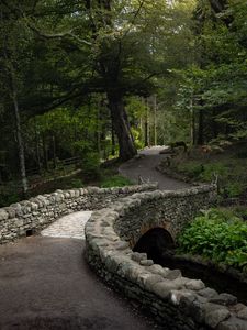 Preview wallpaper bridge, path, alley, trees