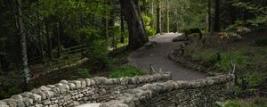 Preview wallpaper bridge, path, alley, trees