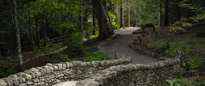 Preview wallpaper bridge, path, alley, trees