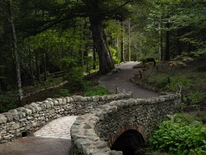 Preview wallpaper bridge, path, alley, trees