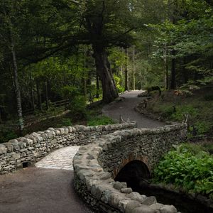 Preview wallpaper bridge, path, alley, trees